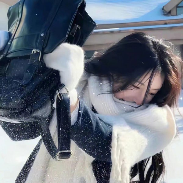 房子与狗